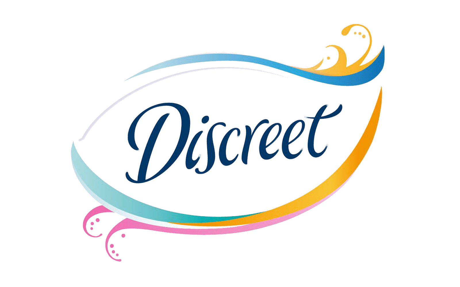 DISCREET PROGRAM logo