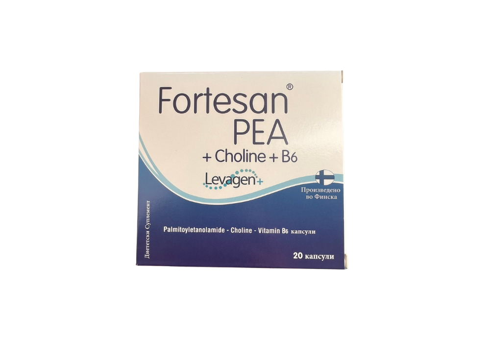 FORTESAN PEA+CHOLINE+B6 capsules x 20 Product Main Image