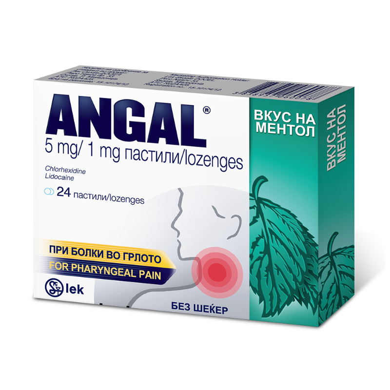 ANGAL x 24 Product Main Image