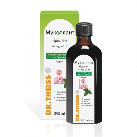 DR.THEISS BRSLEN SYRUP 250ml Product Main Image